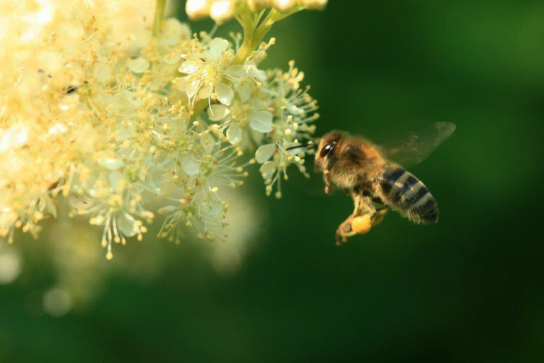  Reflexões sobre a vida e o viver 